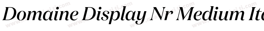 Domaine Display Nr Medium Italic字体转换